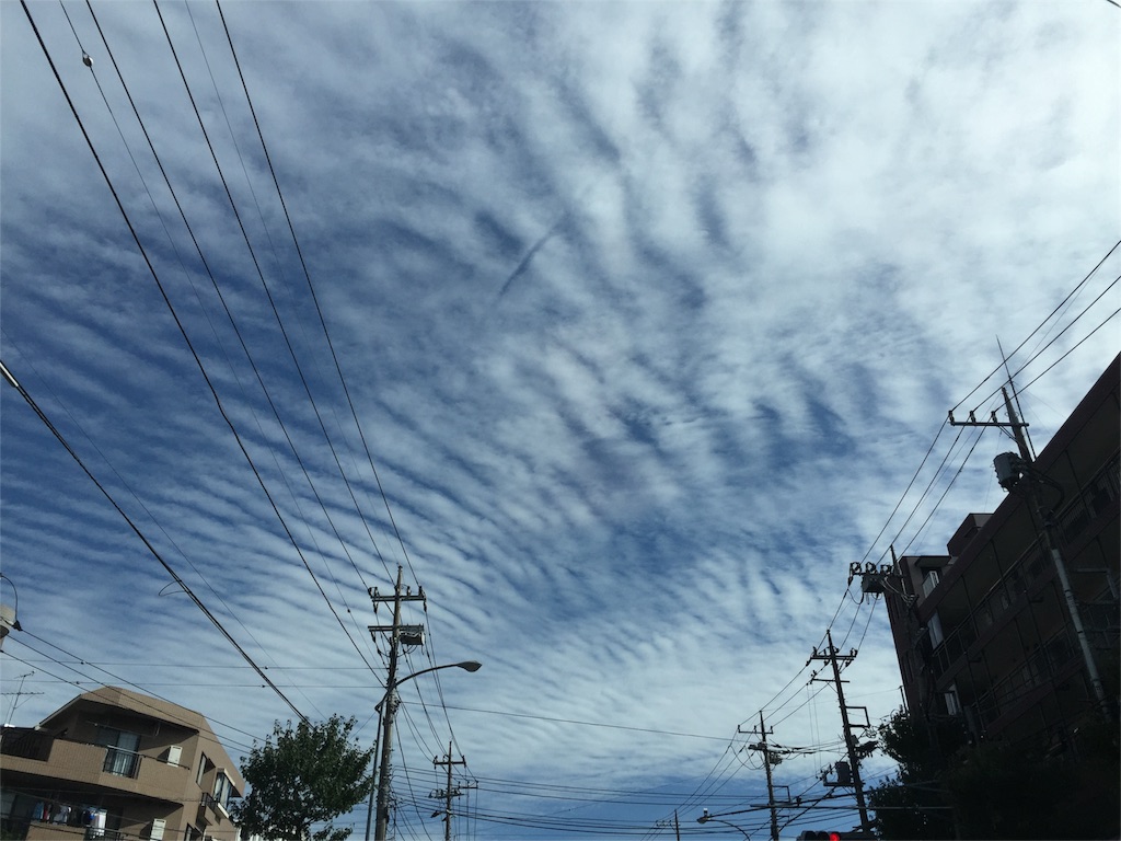 f:id:korokoro-nekochan:20150930230230j:image f:id:korokoro-nekochan:20150930230230j:image