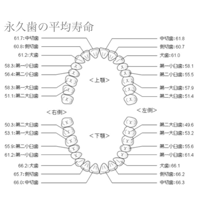 f:id:koseinousyuku:20150612102316j:image f:id:koseinousyuku:20150612102316j:image