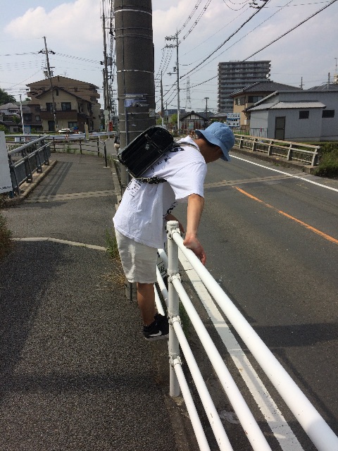 f:id:koseinousyuku:20160621110517j:image f:id:koseinousyuku:20160621110517j:image