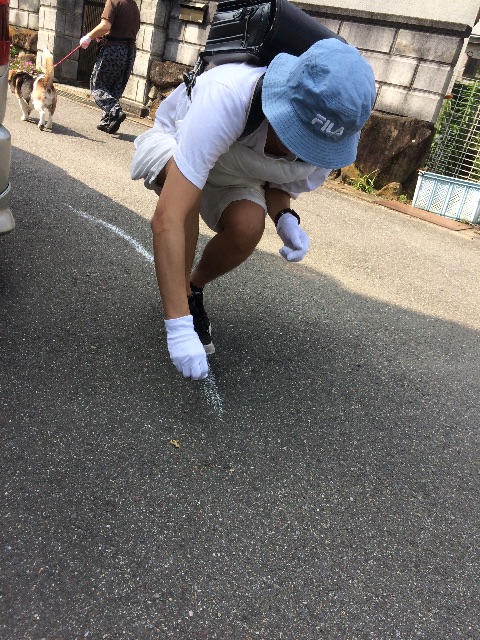f:id:koseinousyuku:20160621153924j:image f:id:koseinousyuku:20160621153924j:image