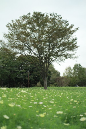 f:id:kossa:20111002151109j:image:W250 f:id:kossa:20111002151109j:image:W250