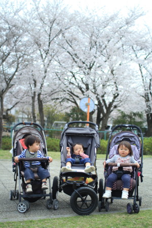 f:id:kossa:20130329123713j:image f:id:kossa:20130329123713j:image