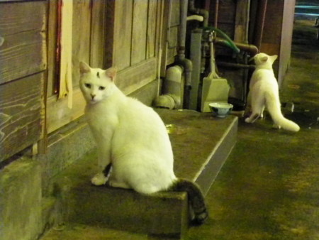 f:id:kosui:20081004212126j:image f:id:kosui:20081004212126j:image