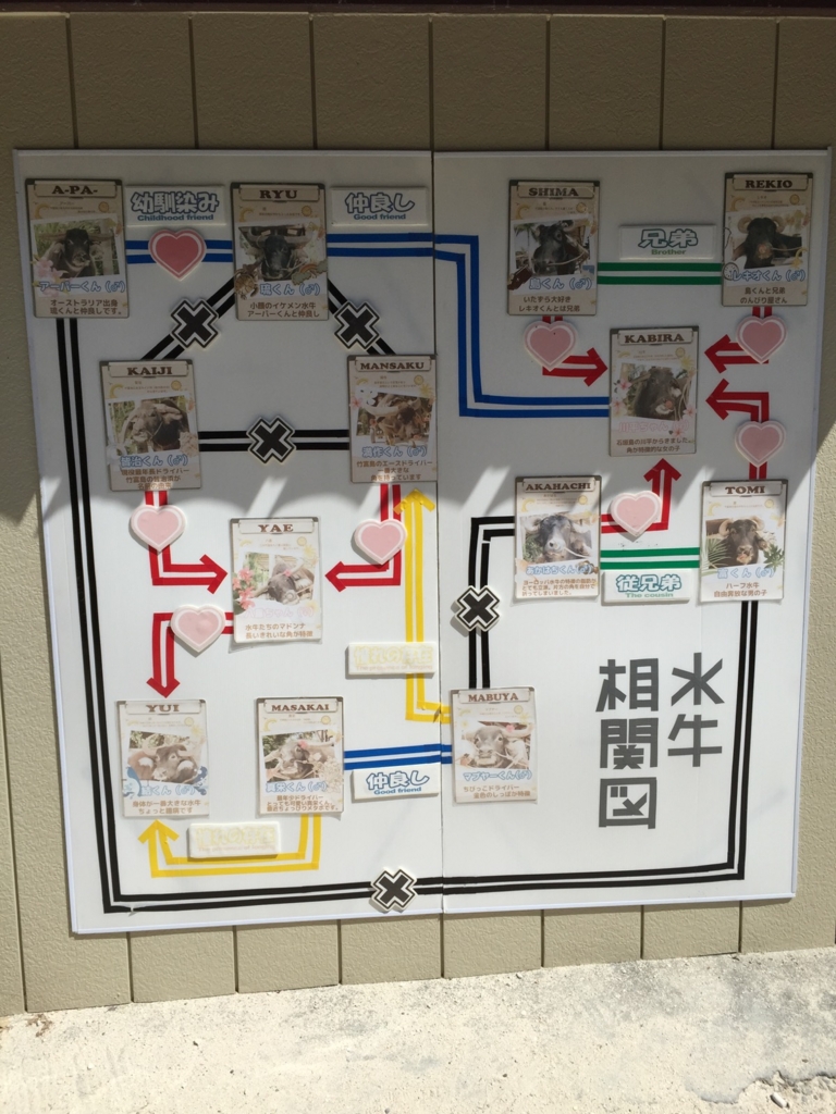 f:id:kosuke0620:20150927234652j:plain f:id:kosuke0620:20150927234652j:plain