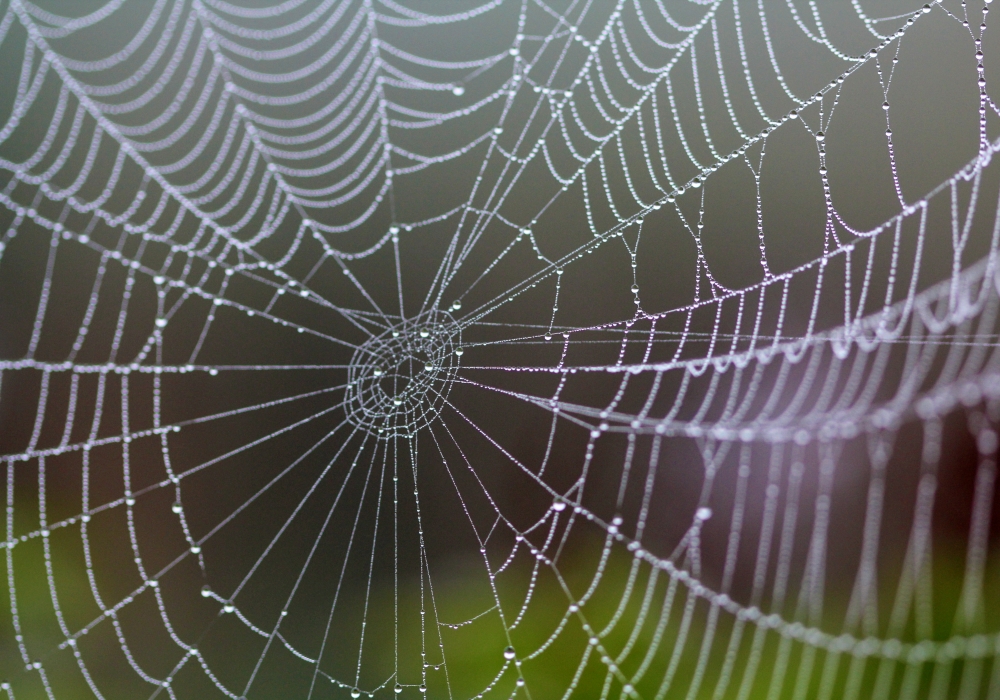 f:id:kotafujishiro:20151111033807j:plain f:id:kotafujishiro:20151111033807j:plain