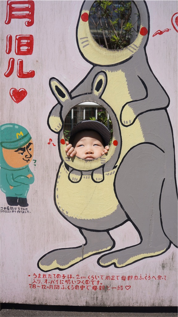 f:id:kotakotamama:20160522141031j:image f:id:kotakotamama:20160522141031j:image