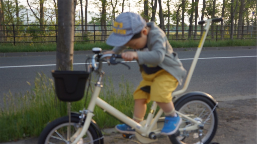 f:id:kotakotamama:20160524180127j:image f:id:kotakotamama:20160524180127j:image