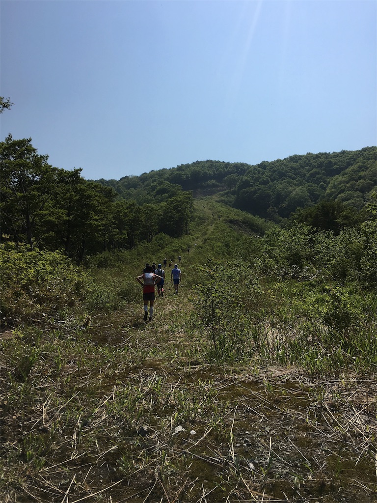 f:id:kotobuki_matsu:20160522082642j:image f:id:kotobuki_matsu:20160522082642j:image