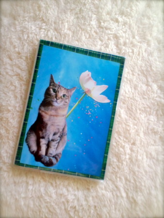 f:id:kotohaya:20091219093659j:image f:id:kotohaya:20091219093659j:image