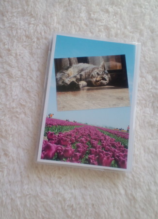 f:id:kotohaya:20091219093747j:image f:id:kotohaya:20091219093747j:image