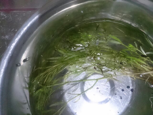 f:id:kotori11:20131013075858j:plain f:id:kotori11:20131013075858j:plain