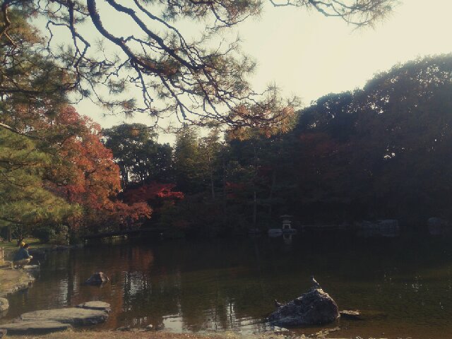 f:id:kotori11:20131124205847j:plain f:id:kotori11:20131124205847j:plain