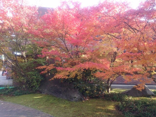 f:id:kotori11:20131124205854j:plain f:id:kotori11:20131124205854j:plain