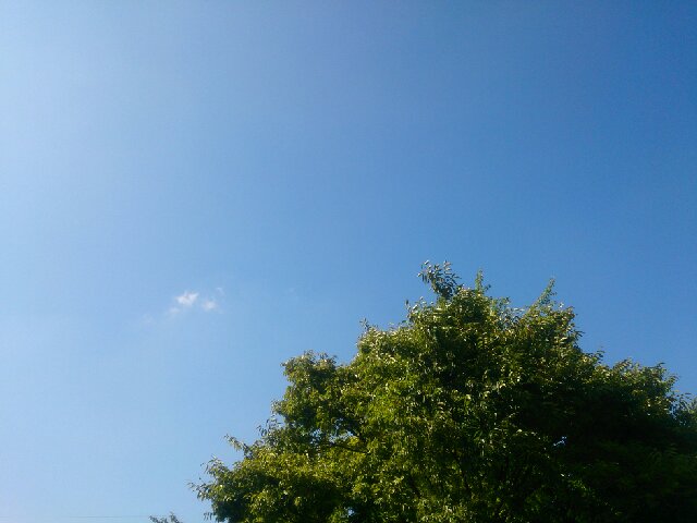 f:id:kotori11:20140831225347j:plain f:id:kotori11:20140831225347j:plain