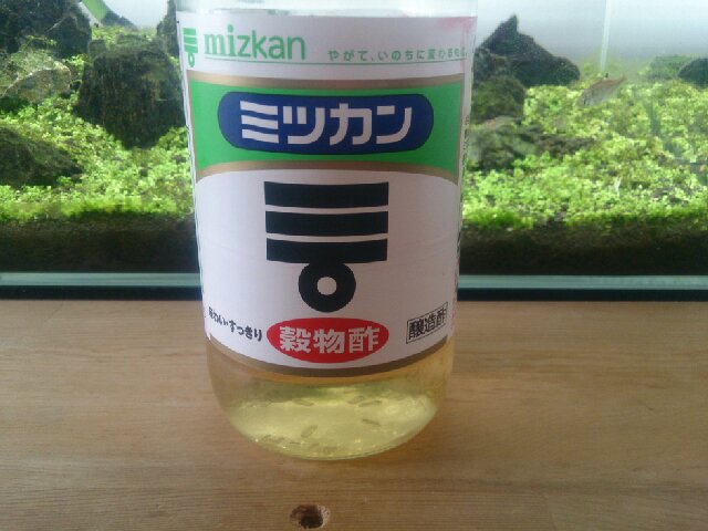 f:id:kotori11:20141030120610j:plain f:id:kotori11:20141030120610j:plain
