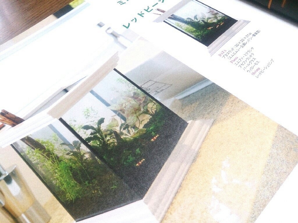 f:id:kotori11:20150114001215j:plain f:id:kotori11:20150114001215j:plain