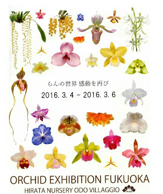 f:id:kotori11:20160307161232j:plain f:id:kotori11:20160307161232j:plain
