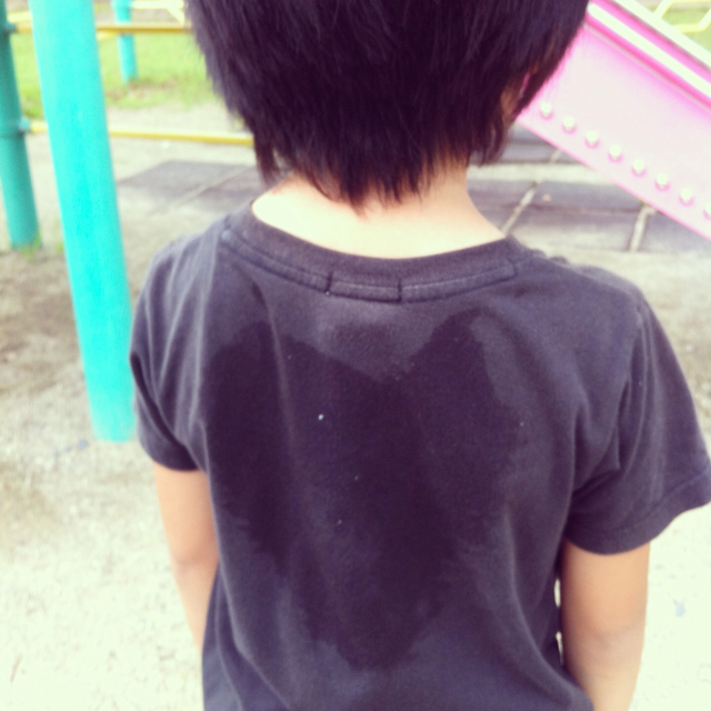 f:id:kotti2008:20130911034936j:plain f:id:kotti2008:20130911034936j:plain