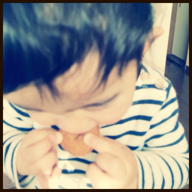 f:id:kotti2008:20131229193658j:plain f:id:kotti2008:20131229193658j:plain