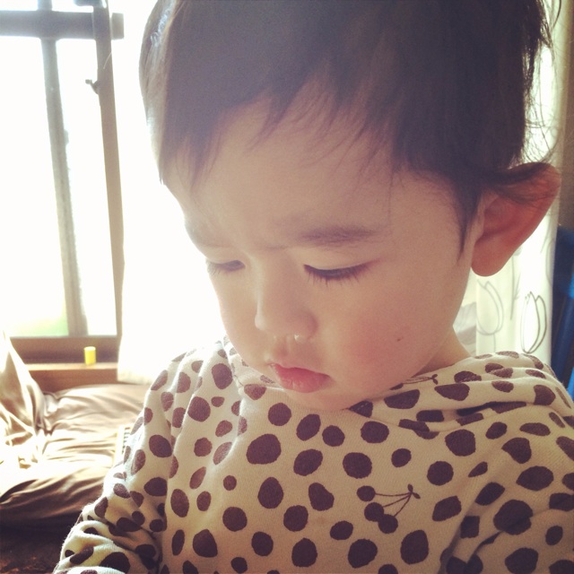 f:id:kotti2008:20131229193716j:plain f:id:kotti2008:20131229193716j:plain