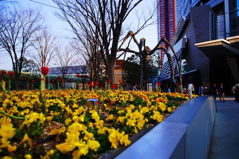 f:id:kou014:20140316162135j:plain f:id:kou014:20140316162135j:plain