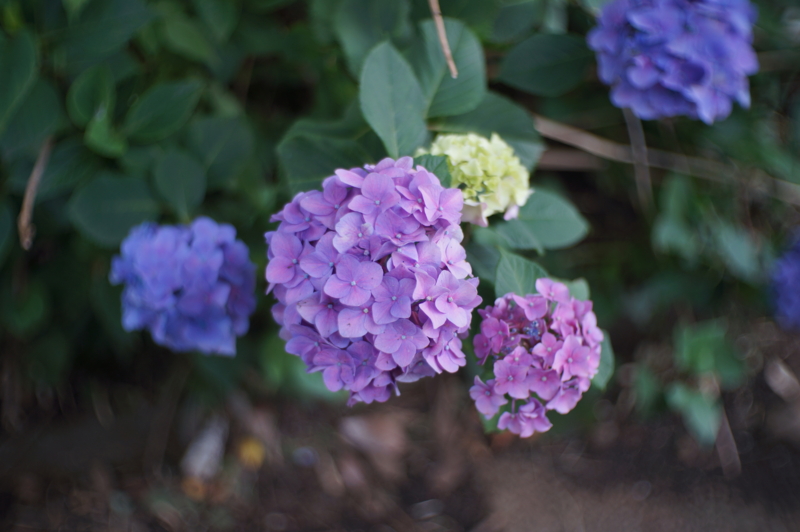 f:id:kou014:20140630165105j:plain