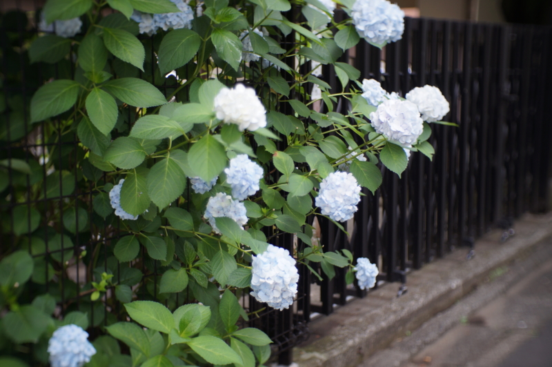 f:id:kou014:20140630165335j:plain