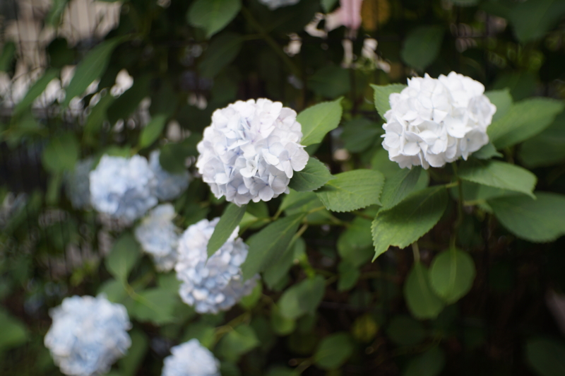 f:id:kou014:20140630165356j:plain