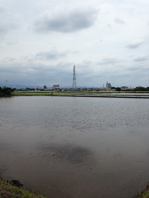 f:id:kouneikai:20150622111900j:image f:id:kouneikai:20150622111900j:image