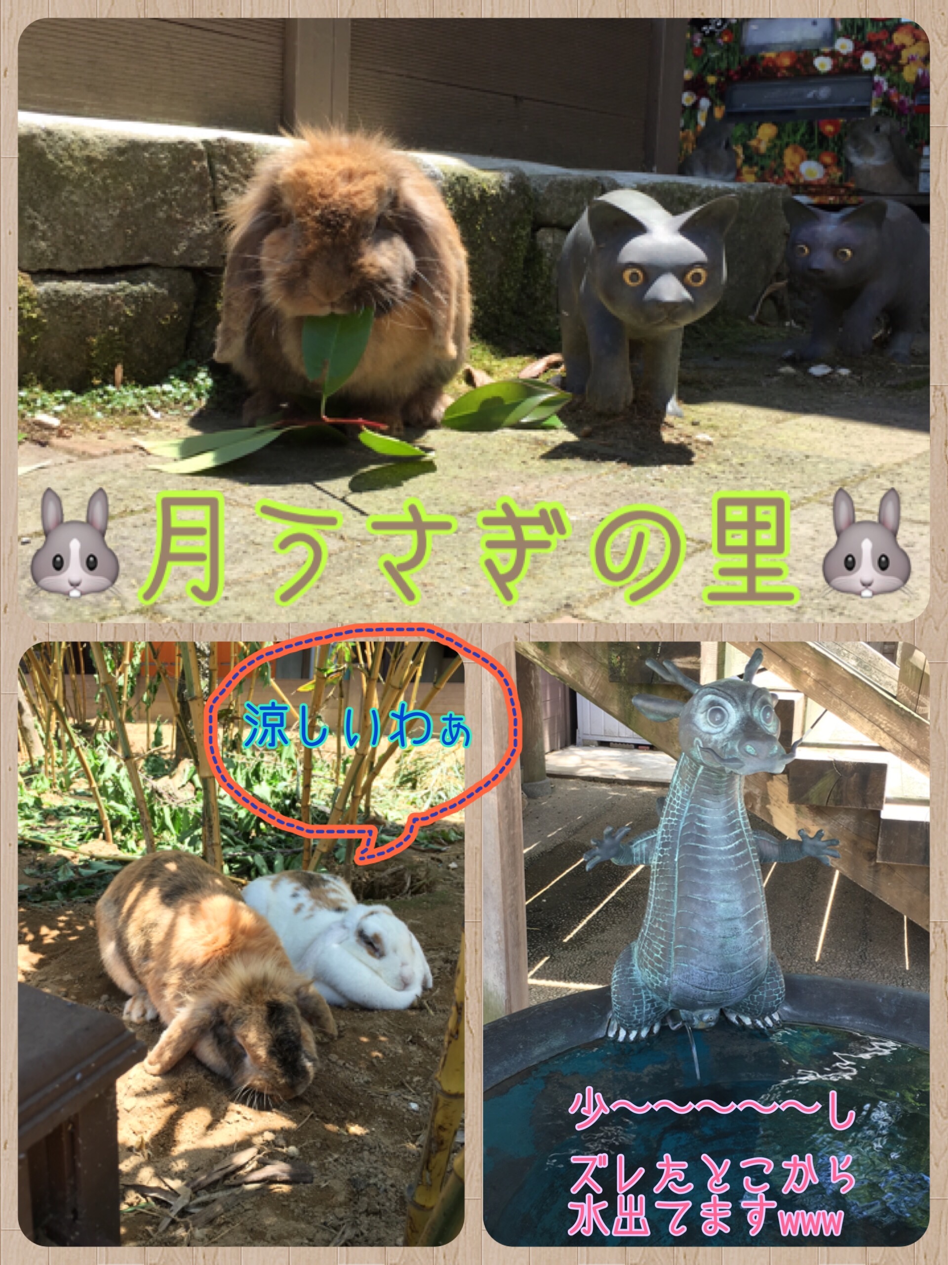f:id:kouyuki0308:20160602002343j:image f:id:kouyuki0308:20160602002343j:image