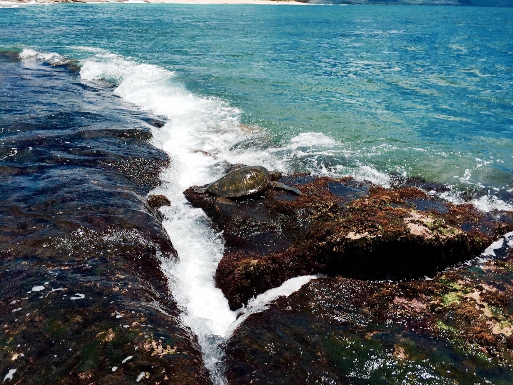 f:id:kowagari:20150726220754j:image f:id:kowagari:20150726220754j:image