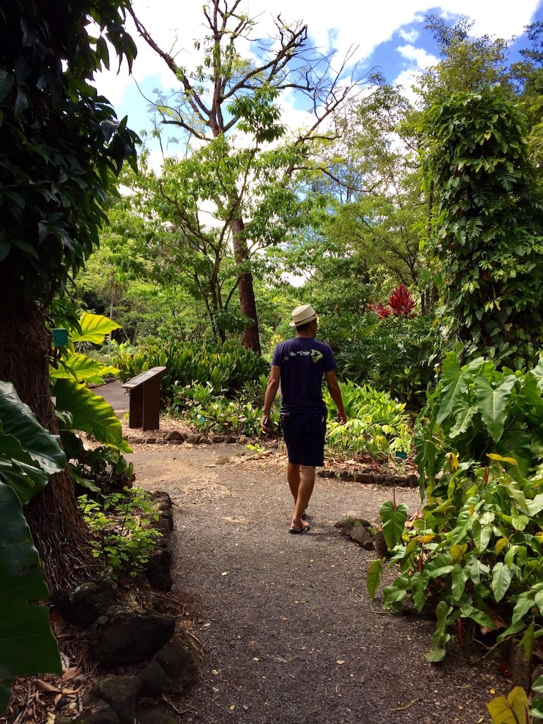 f:id:kowagari:20150802172304j:image f:id:kowagari:20150802172304j:image
