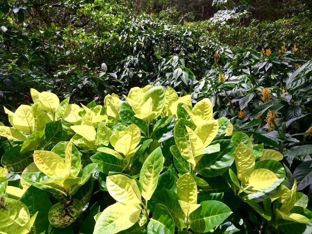 f:id:kowagari:20150802173129j:image f:id:kowagari:20150802173129j:image
