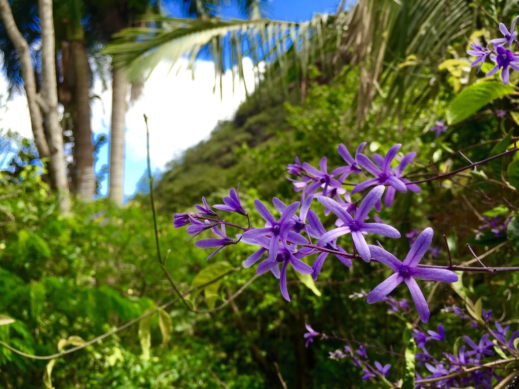 f:id:kowagari:20150802173149j:image f:id:kowagari:20150802173149j:image