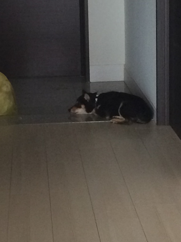 f:id:kowalski22:20150719071211j:image f:id:kowalski22:20150719071211j:image
