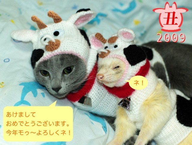 f:id:koyanspecial:20090101021641j:image f:id:koyanspecial:20090101021641j:image