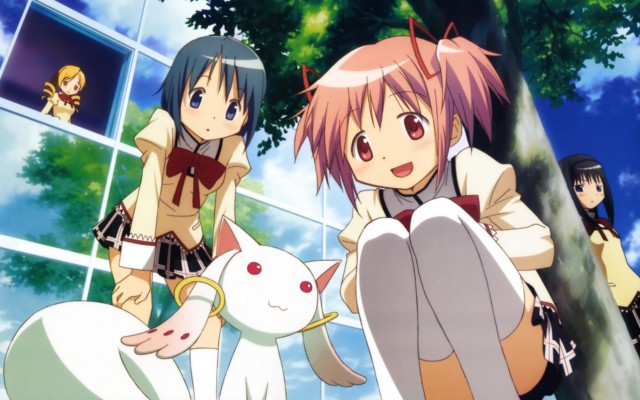 f:id:koyanspecial:20110306145940j:image f:id:koyanspecial:20110306145940j:image