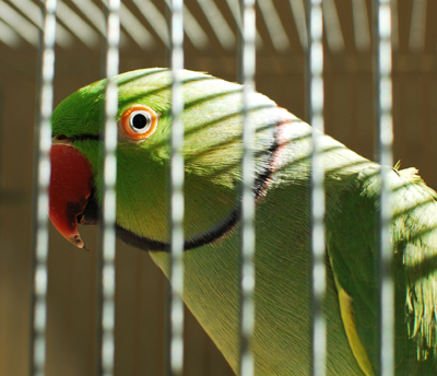 f:id:kozaku3:20120115194636j:image f:id:kozaku3:20120115194636j:image