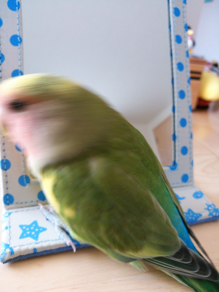f:id:kozaku3:20150802225639j:plain f:id:kozaku3:20150802225639j:plain