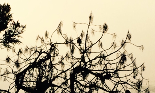 f:id:kp4323w3255b5t267:20150226132839j:plain f:id:kp4323w3255b5t267:20150226132839j:plain