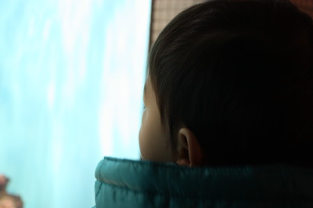 f:id:krote:20091212155451j:image