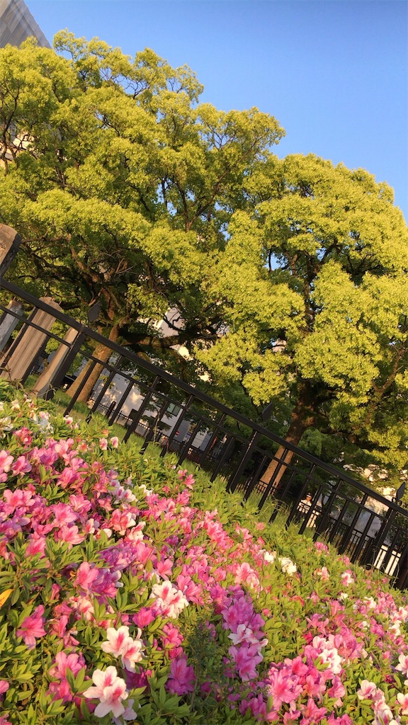 f:id:krsmmrk:20160501014007j:image f:id:krsmmrk:20160501014007j:image
