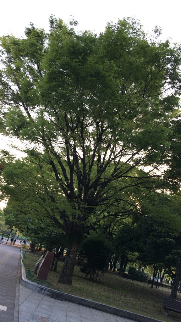 f:id:krsmmrk:20160501014434j:image f:id:krsmmrk:20160501014434j:image