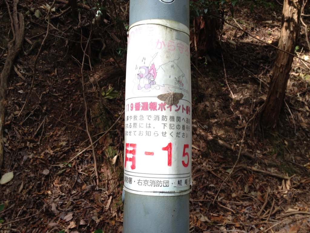 f:id:krtx:20151101120818j:plain f:id:krtx:20151101120818j:plain