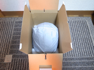 f:id:ksg1000:20110111205230j:image