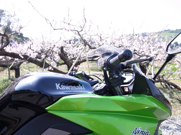 f:id:ksg1000:20110410193804j:image
