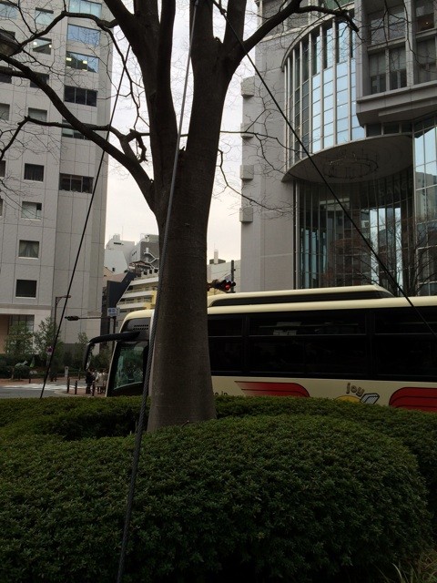 f:id:ksh:20140329075630j:plain f:id:ksh:20140329075630j:plain
