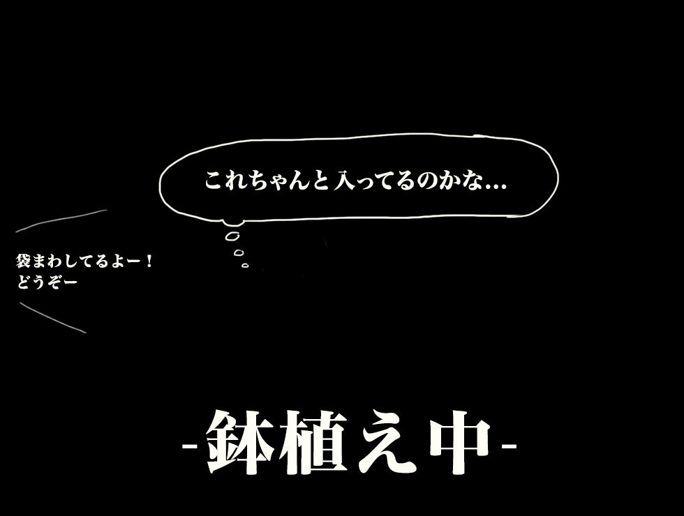 f:id:kswmch:20151002020427j:plain f:id:kswmch:20151002020427j:plain