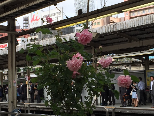 f:id:ktoku3:20150515183824j:image f:id:ktoku3:20150515183824j:image