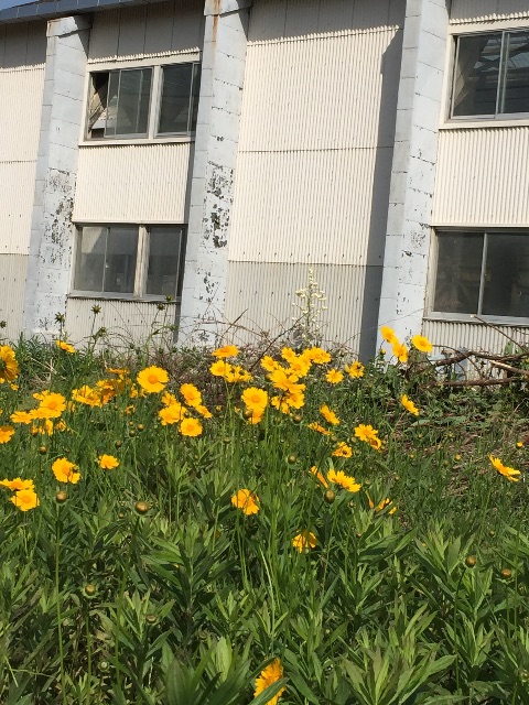 f:id:ktoku3:20150515184755j:image f:id:ktoku3:20150515184755j:image
